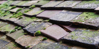 North Common roof repair costs